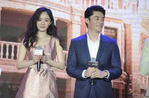 娱乐圈明星吃瓜合集小说,揭秘幕后真相